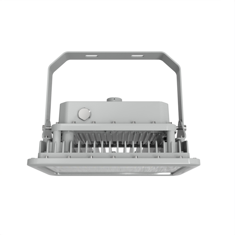 Explosion proof (Ex) Flood Light - Image 2